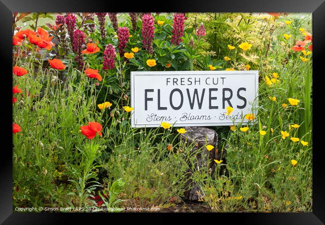 Garden flowers with fresh cut flower sign 0771 Framed Print by Simon Bratt LRPS