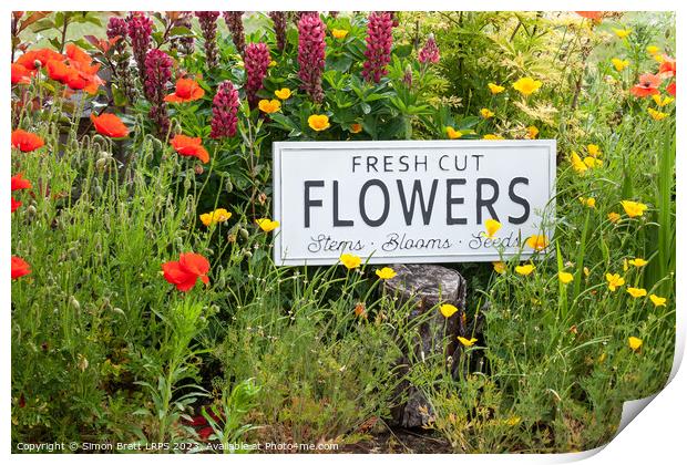 Garden flowers with fresh cut flower sign 0771 Print by Simon Bratt LRPS