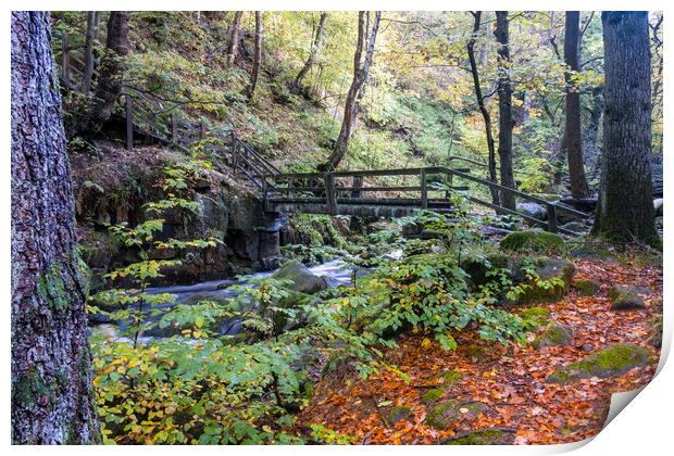 Enchanting Padley Gorge in Derbyshire Print by Steve Smith