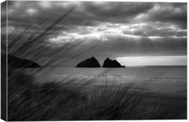 Majestic Black and White Coastal View Canvas Print by Matthew Grey