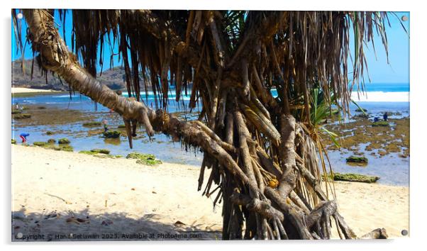 Tree trunks at Watu Karung sand beach Acrylic by Hanif Setiawan