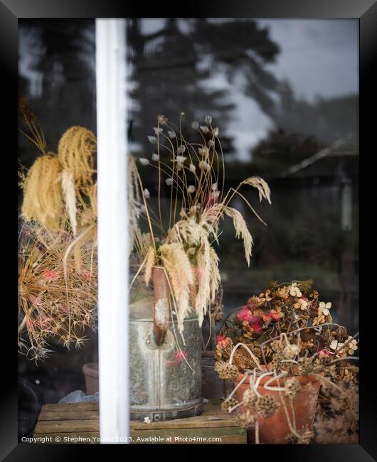 Looking into the Greenhouse Framed Print by Stephen Young