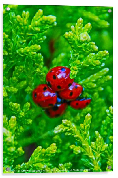 Bloom of Ladybirds Ready for Spring Acrylic by GJS Photography Artist