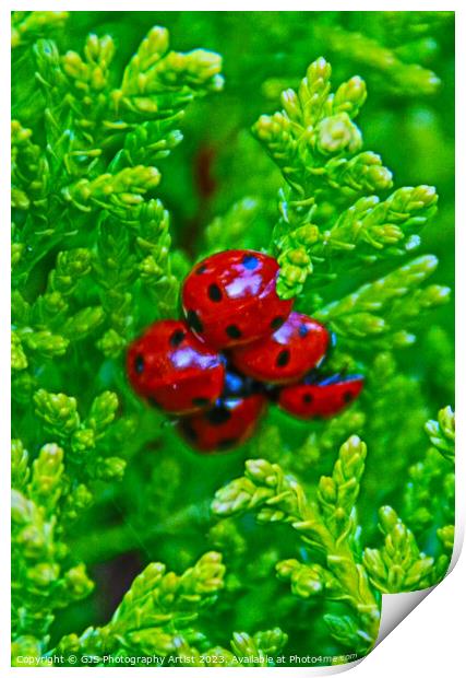 Bloom of Ladybirds Ready for Spring Print by GJS Photography Artist