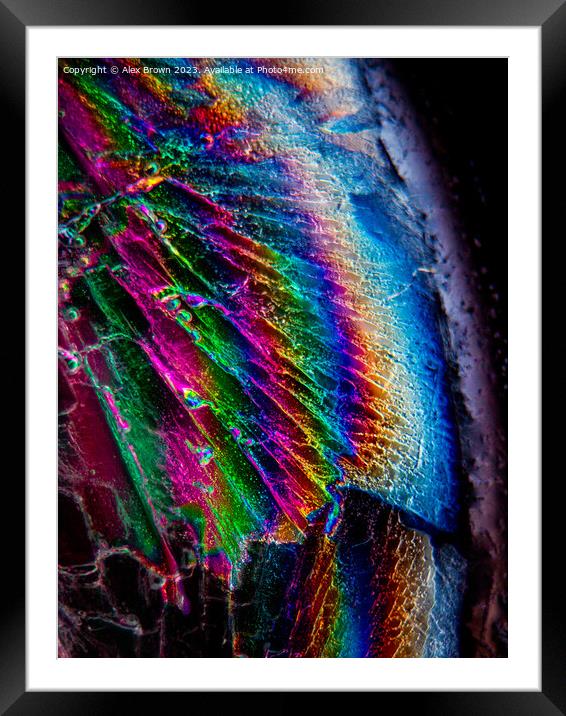 Icy wings Framed Mounted Print by Alex Brown