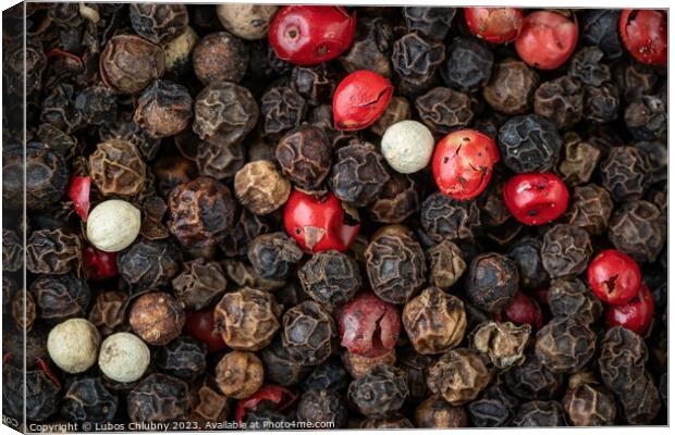 Mixed peppercorns background. Different colored peppercorns Canvas Print by Lubos Chlubny