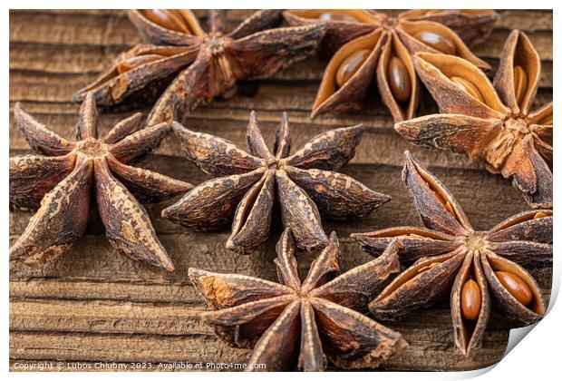 Dried star anise spice on vintage wooden board Print by Lubos Chlubny