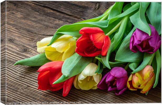 Colorful tulips on wooden table Canvas Print by Lubos Chlubny