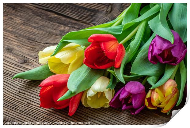 Colorful tulips on wooden table Print by Lubos Chlubny