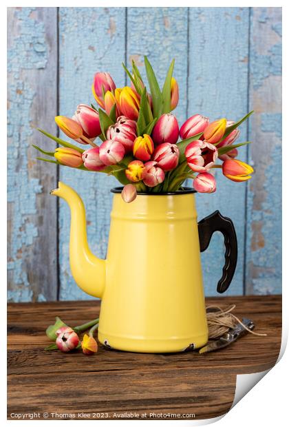 Colorful tulips in old enamel coffee pot Print by Thomas Klee