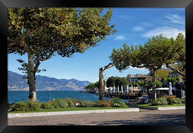 Autumn in Italy Framed Print by Jim Jones