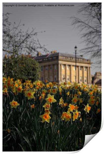 Daffodils at the Royal Crescent Bath portrait  Print by Duncan Savidge