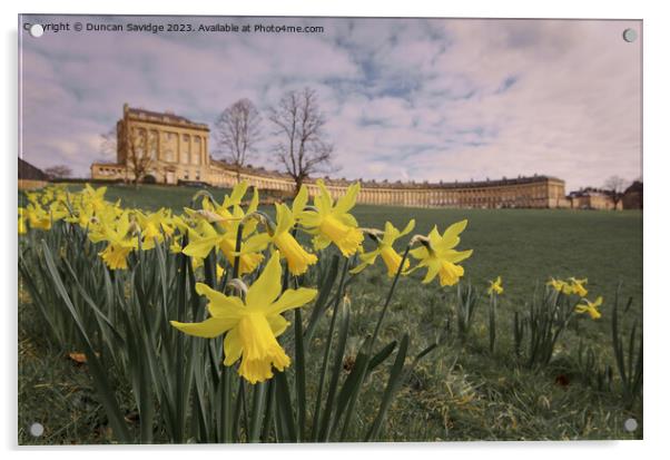 Daffodils at the Royal Crescent Bath landscape  Acrylic by Duncan Savidge