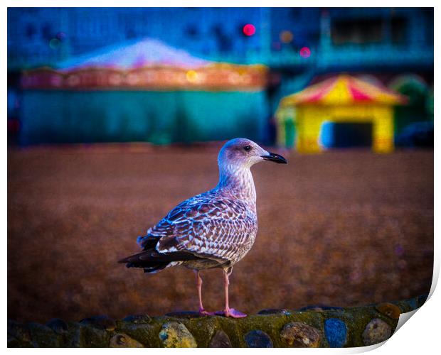 Brighton Seagull Print by Chris Lord