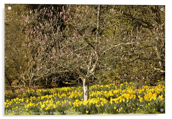 Daffodils and magnolias  Acrylic by Simon Johnson