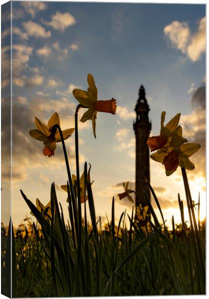 Wainhouse Tower and Daffodils 02 Canvas Print by Glen Allen