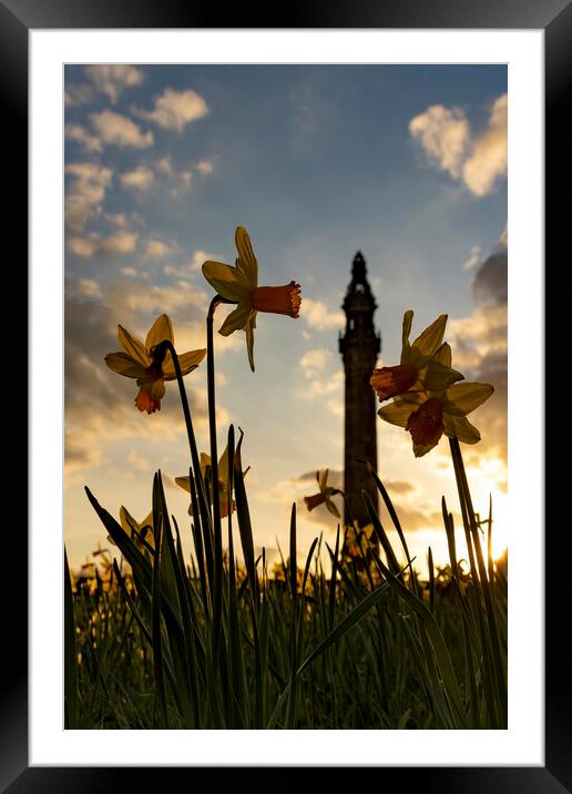 Wainhouse Tower and Daffodils 02 Framed Mounted Print by Glen Allen