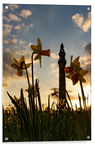 Wainhouse Tower and Daffodils 02 Acrylic by Glen Allen