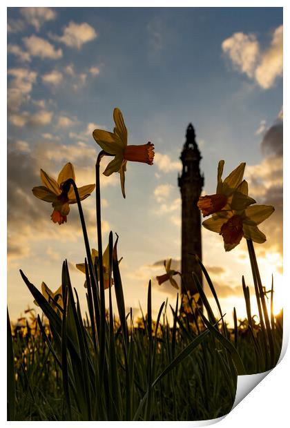 Wainhouse Tower and Daffodils 02 Print by Glen Allen