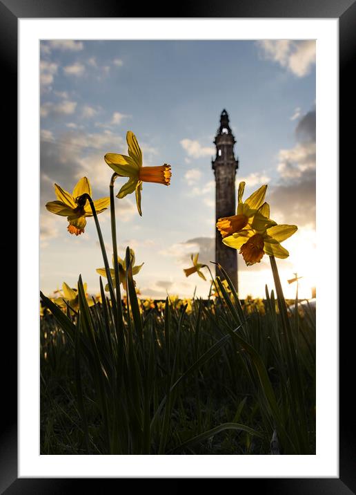 Wainhouse and Daffodils 01 Framed Mounted Print by Glen Allen