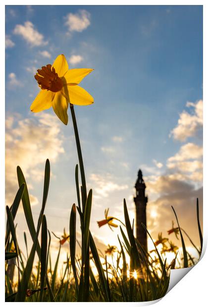 Wainhouse Tower and Daffodils 05 Print by Glen Allen