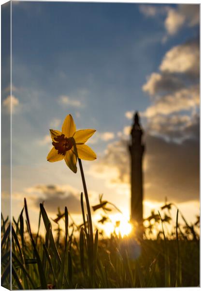 Wainhouse Tower and Daffodils 03 Canvas Print by Glen Allen