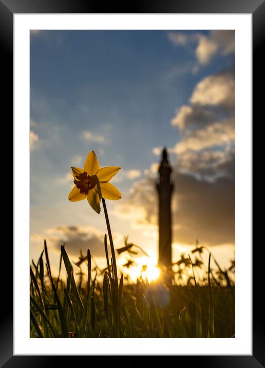 Wainhouse Tower and Daffodils 03 Framed Mounted Print by Glen Allen