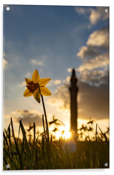 Wainhouse Tower and Daffodils 03 Acrylic by Glen Allen