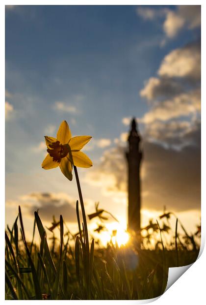 Wainhouse Tower and Daffodils 03 Print by Glen Allen