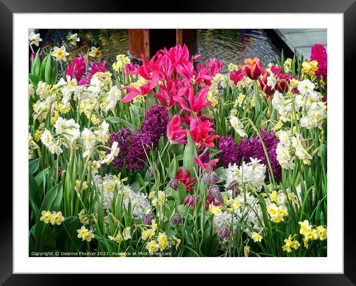 Spring Symphony of Flowers Framed Mounted Print by Deanne Flouton