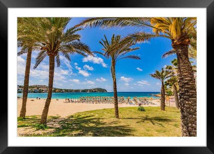 Santa Ponsa beach  Framed Mounted Print by Alex Winter