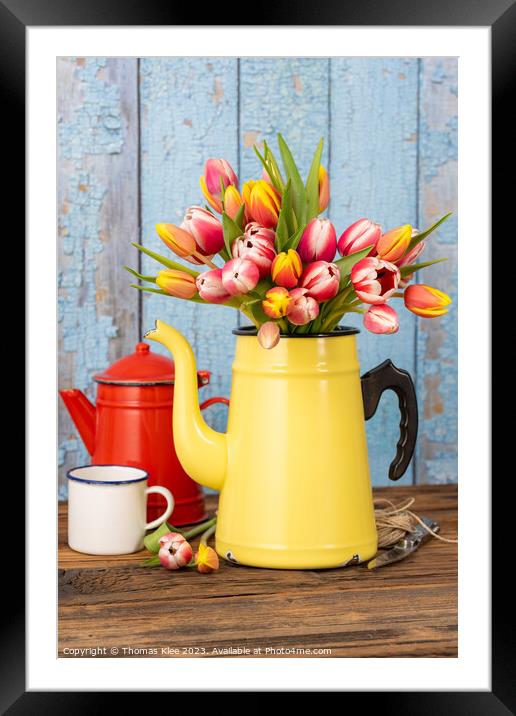 Colorful tulips in old enamel coffee pot Framed Mounted Print by Thomas Klee