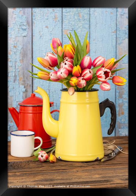Colorful tulips in old enamel coffee pot Framed Print by Thomas Klee