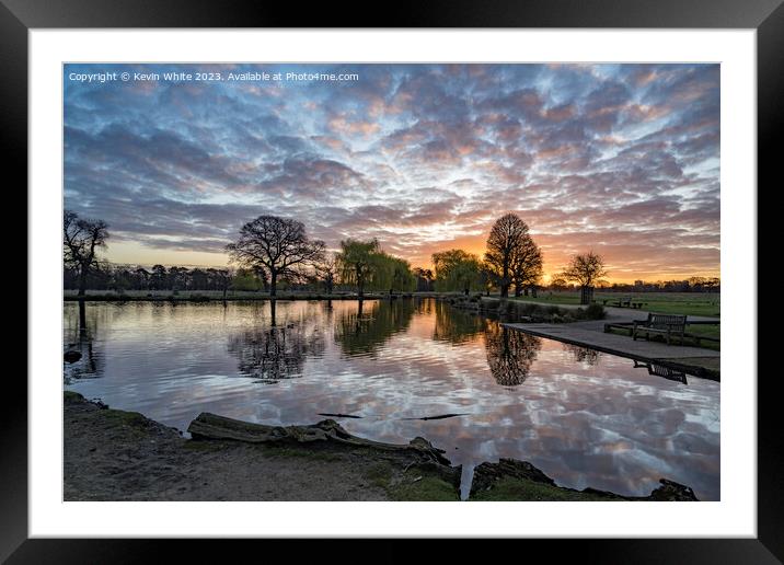 Perfect golden hour at Bushy Park Framed Mounted Print by Kevin White