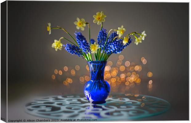 Still Life Daffodils  Canvas Print by Alison Chambers