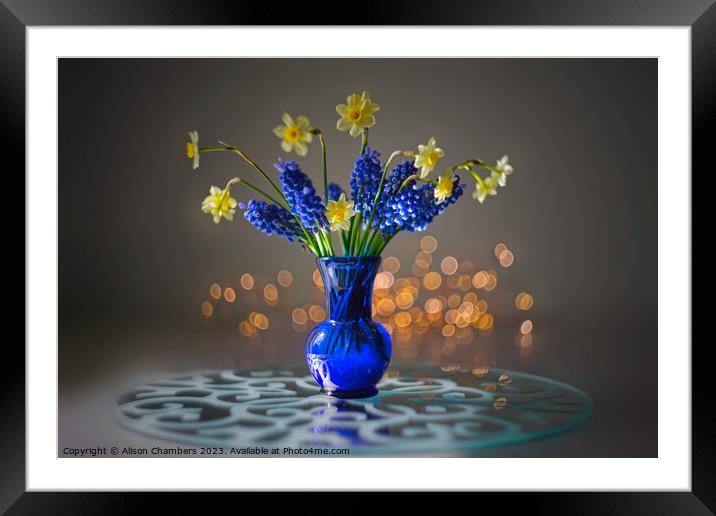 Still Life Daffodils  Framed Mounted Print by Alison Chambers