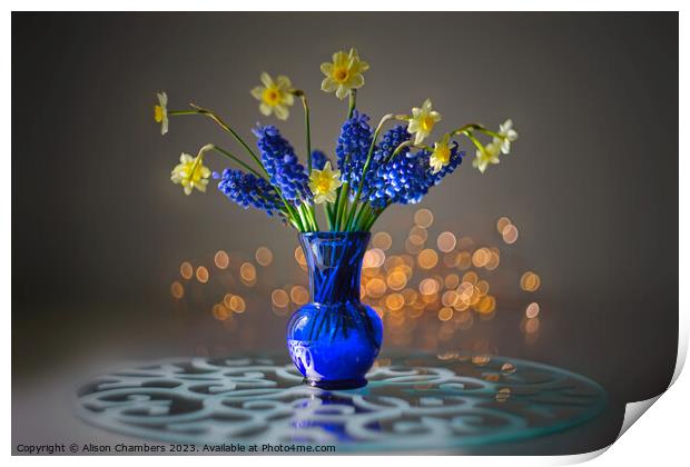 Still Life Daffodils  Print by Alison Chambers