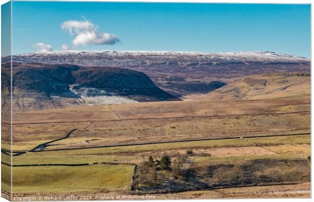 Mickle Fell, Cronkley Scar and Widdybank Fell, Tee Canvas Print by Richard Laidler