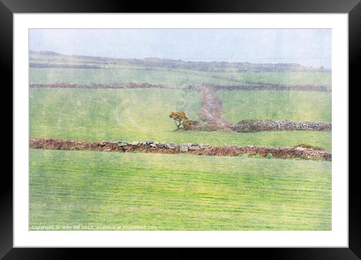 Cornish Landscape with Tree Framed Mounted Print by Jean Gill