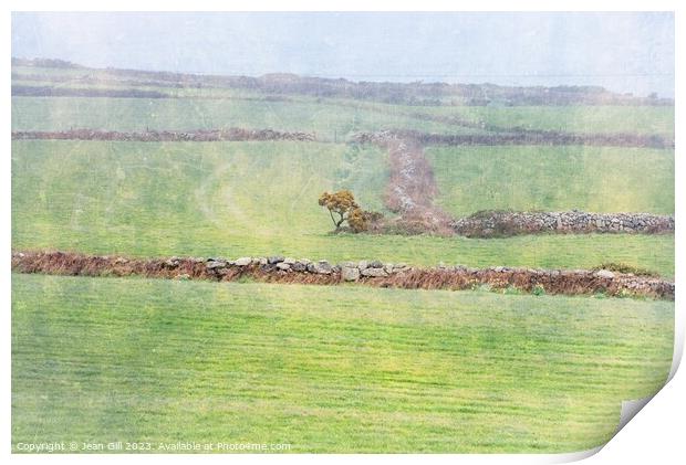 Cornish Landscape with Tree Print by Jean Gill