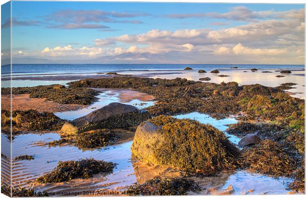 North beach Ardrossan morning 3 Canvas Print by Fiona Messenger