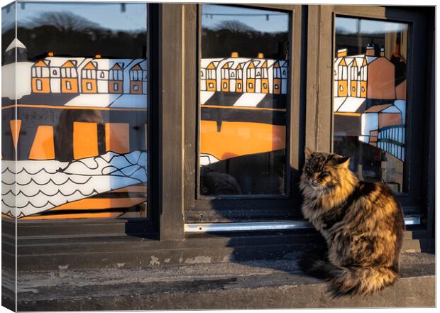 Reggie the Porthleven cat Canvas Print by kathy white