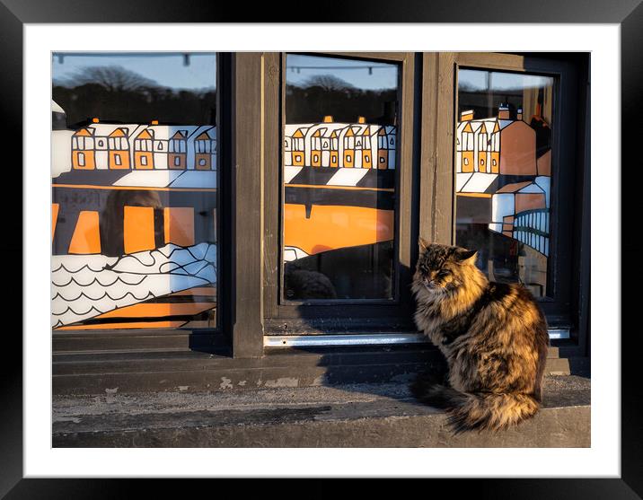 Reggie the Porthleven cat Framed Mounted Print by kathy white