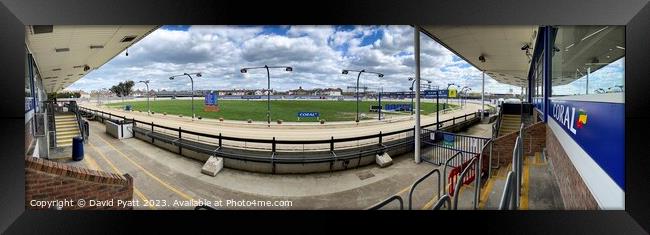 Greyhound Racing Stadium Panorama Framed Print by David Pyatt