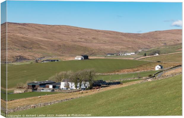 Four Harwood Farms, Upper Teesdale Canvas Print by Richard Laidler