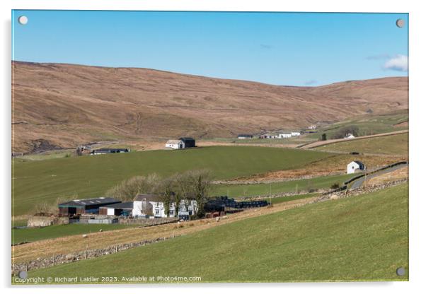 Four Harwood Farms, Upper Teesdale Acrylic by Richard Laidler