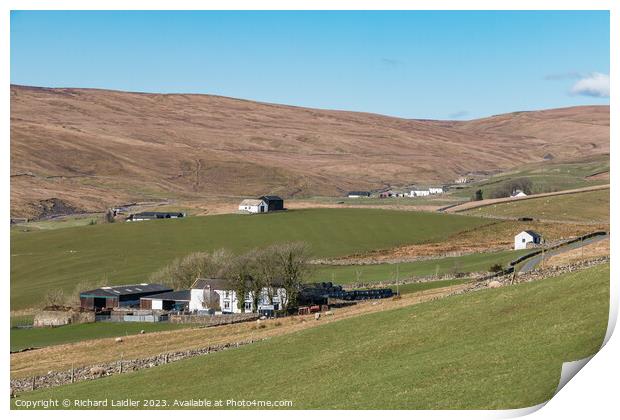 Four Harwood Farms, Upper Teesdale Print by Richard Laidler