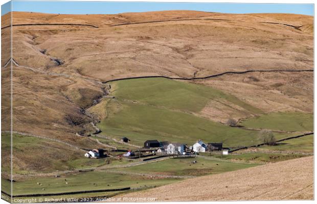 Marshes Gill Farm, Harwood, Teesdale Canvas Print by Richard Laidler