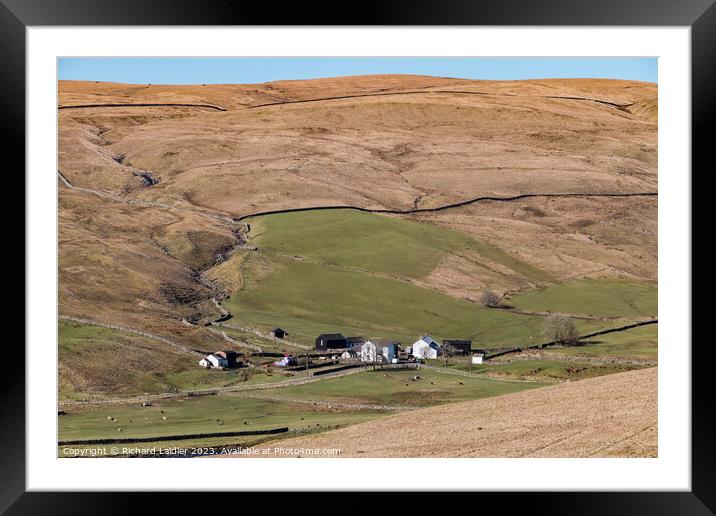 Marshes Gill Farm, Harwood, Teesdale Framed Mounted Print by Richard Laidler