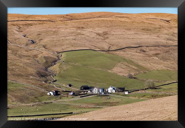 Marshes Gill Farm, Harwood, Teesdale Framed Print by Richard Laidler